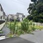 外観 写真の一部