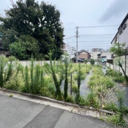 写真の一部外観