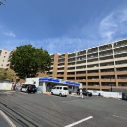 アデニウム吉祥寺