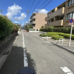 前面道路（南側）